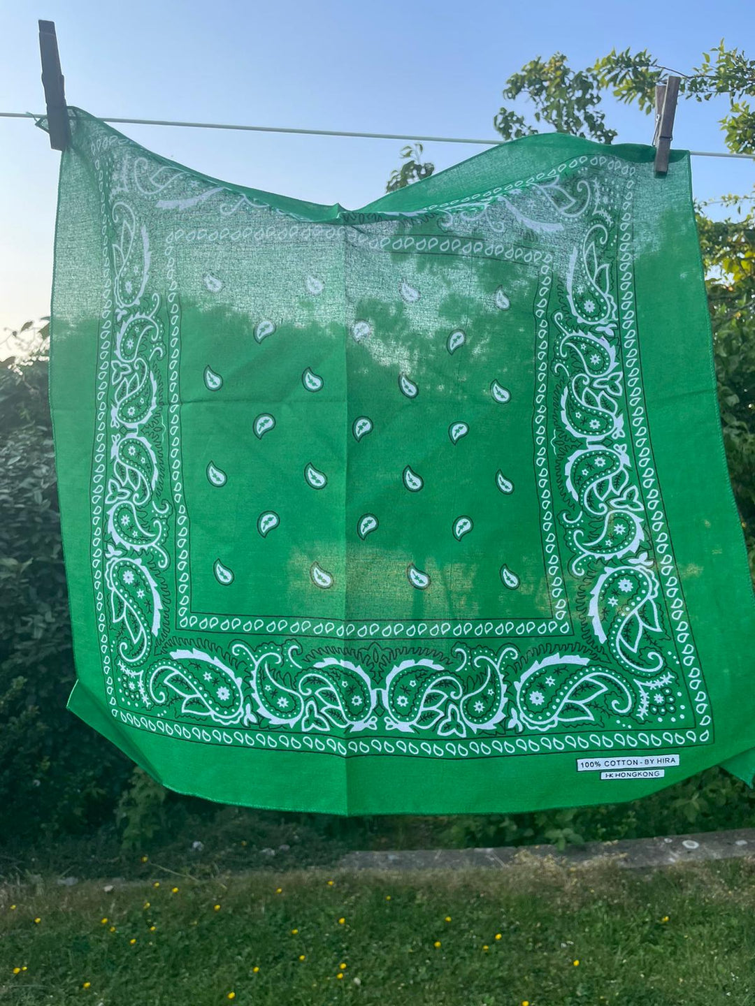 Green Paisley Bandana Pocket Square Neckerchief 56cm x 56cm (22in x 22in)